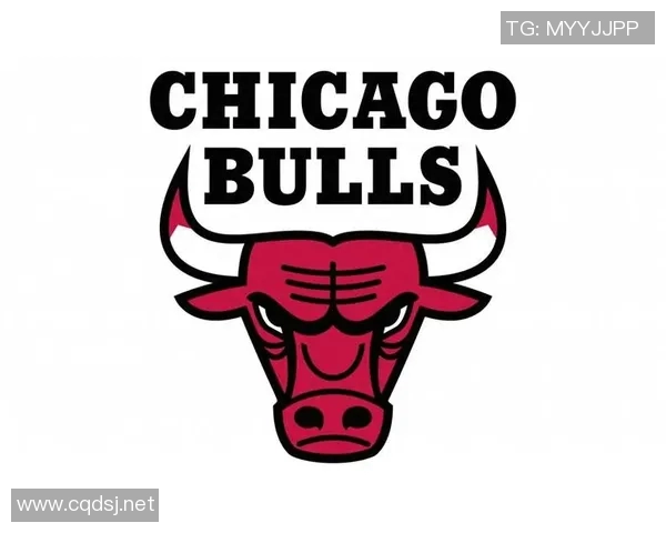 2009年NBA季后赛热火与公牛精彩对决录像回放全程回顾与分析